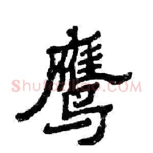 鹰