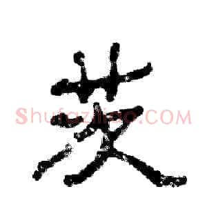 茨
