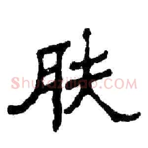 肤