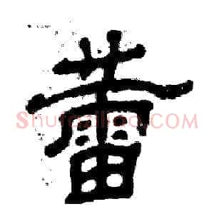 蕾