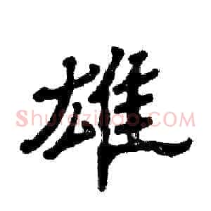雄