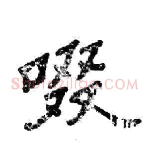 啜
