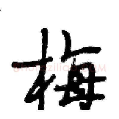 梅硬笔行书写法,摘自段相林硬笔书法字帖
