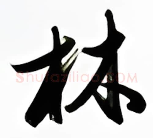 林硬笔行书写法,摘自金泽珊硬笔书法字帖