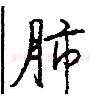 肺硬笔行书写法,摘自司惠国硬笔书法字帖