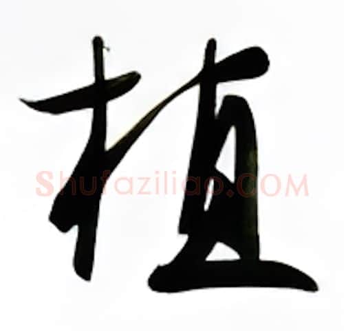 植硬笔行书写法,摘自金泽珊硬笔书法字帖