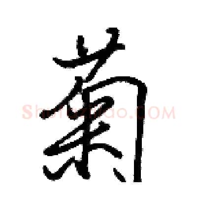 菊硬笔行书写法,摘自骆恒光硬笔书法字帖