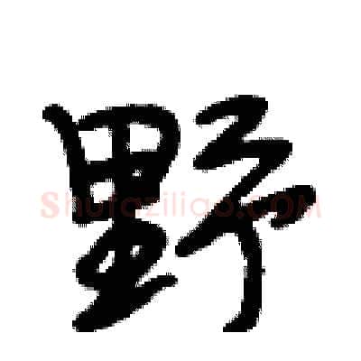 野硬笔行书写法,摘自段相林硬笔书法字帖