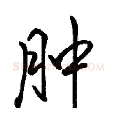 肿硬笔行书写法,摘自骆恒光硬笔书法字帖