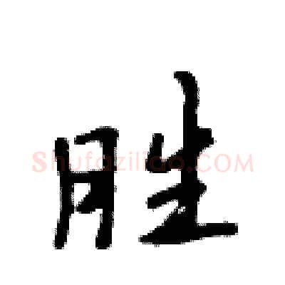 胜硬笔行书写法,摘自吴身元硬笔书法字帖