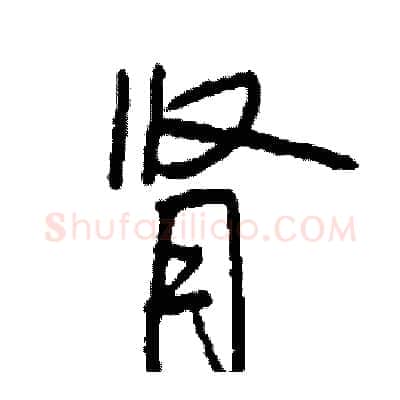 肾硬笔行书写法,摘自司惠国硬笔书法字帖