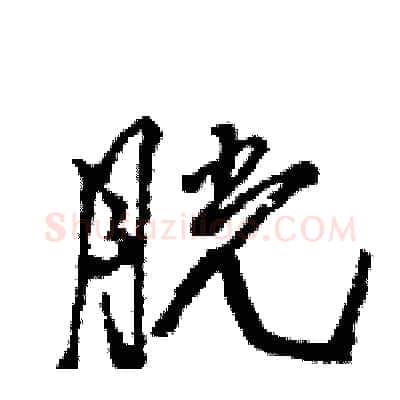 胱硬笔行书写法,摘自王旻硬笔书法字帖