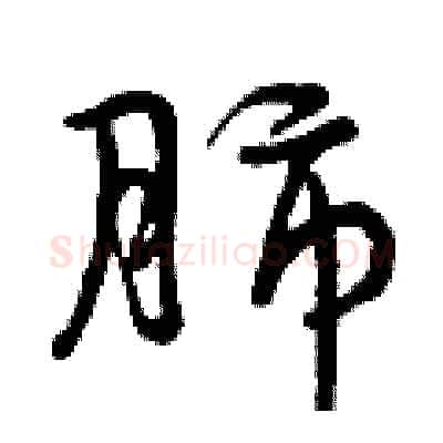 肺硬笔行书写法,摘自曾庆福硬笔书法字帖