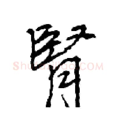 腎硬笔行书写法,摘自王旻硬笔书法字帖