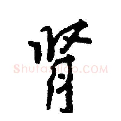 肾硬笔行书写法,摘自张恒成硬笔书法字帖