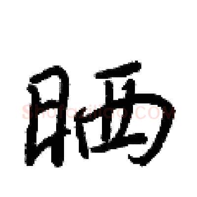 晒硬笔行书写法,摘自王正良硬笔书法字帖