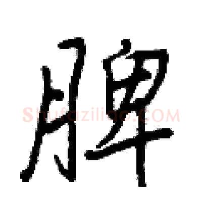 脾硬笔行书写法,摘自王正良硬笔书法字帖