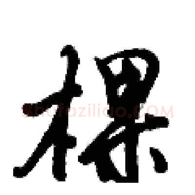 棵硬笔行书写法,摘自倪伟林硬笔书法字帖