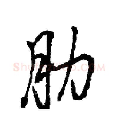 肋硬笔行书写法,摘自王旻硬笔书法字帖