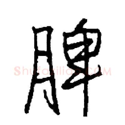 脾硬笔行书写法,摘自司惠国硬笔书法字帖