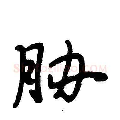 胁硬笔行书写法,摘自段相林硬笔书法字帖