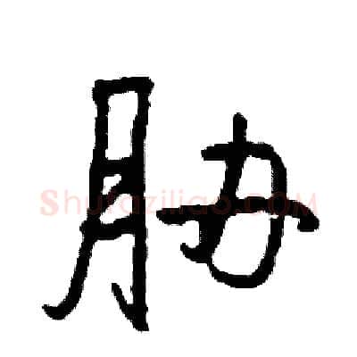 胁硬笔行书写法,摘自司惠国硬笔书法字帖