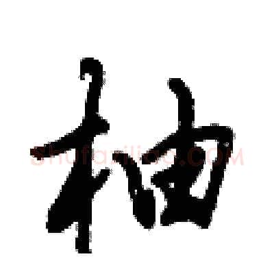 柚硬笔行书写法,摘自倪伟林硬笔书法字帖