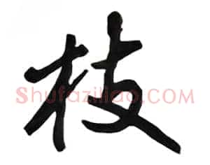 枝