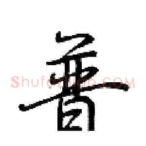 普