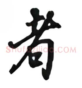 者