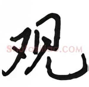 观