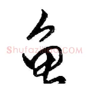 龟