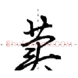 荬