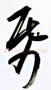 纸