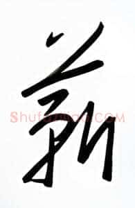 薪