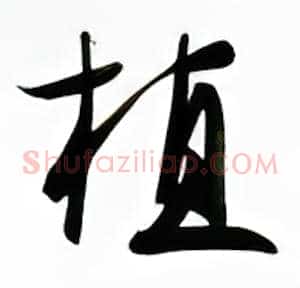 植