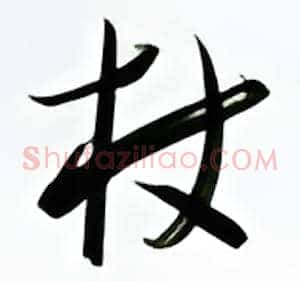 杖