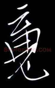 魂