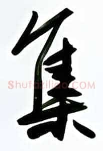 集