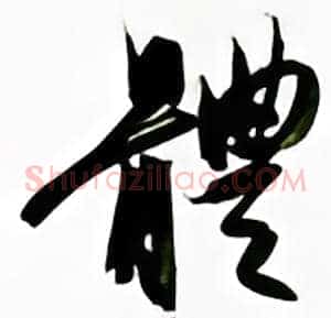 体