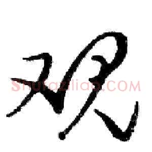 观