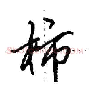 柿