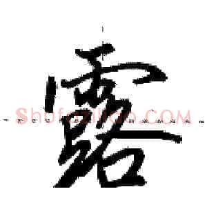 露