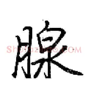 腺