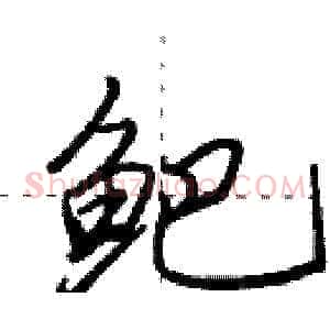 鲃