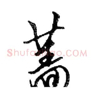 蔷