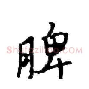 脾