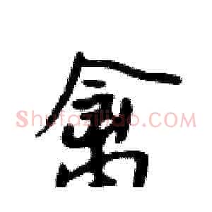 禽