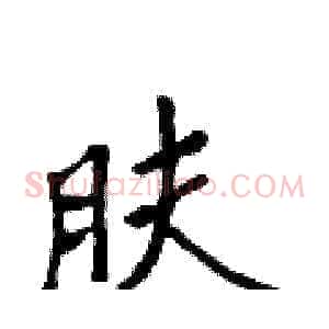肤