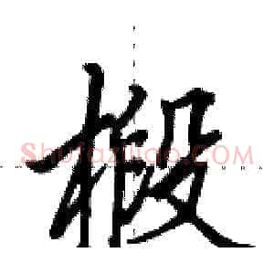 椴